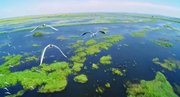 神仙顏值！黑龍江溼地串珠成鏈，勾勒美麗畫卷