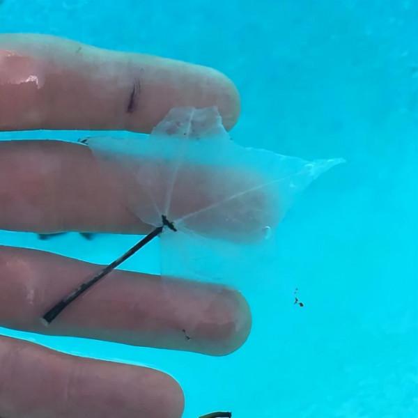 30張時間磨損照,旅行者徒步一年變化驚人,水滴八百年即可穿石 30張時間磨損照,旅行者徒步一年變化驚人,水滴八百年即可穿石