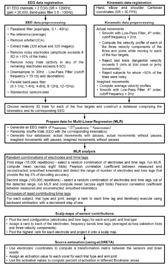 用腦電圖慢皮層電位重建3D空間中的手,肘和肩的實際和想象的軌跡 用腦電圖慢皮層電位重建3D空間中的手,肘和肩的實際和想象的軌跡