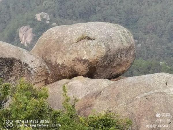 朋友圈2021年第31期