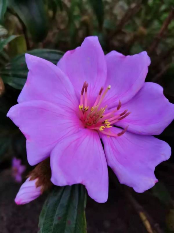 有沒有錢起房子