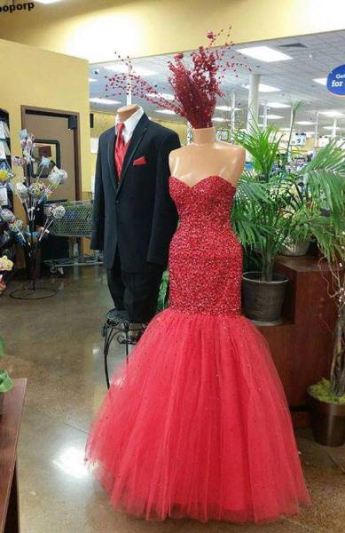 1891歲大樹的年輪，大象推翻汽車，喜鵲騎著白頭鷹，鬣狗飼養員