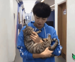 男明星的溫柔與寵溺都給了萌寵,好羨慕 男明星的溫柔與寵溺都給了萌寵,好羨慕