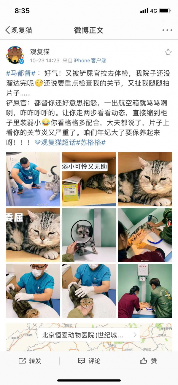 我,馬都督,是不會失寵的 我,馬都督,是不會失寵的