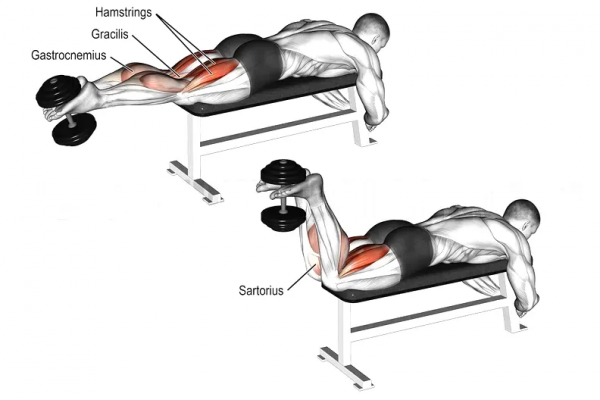 「耀&bull;健身」練遍全身，你只差一對啞鈴