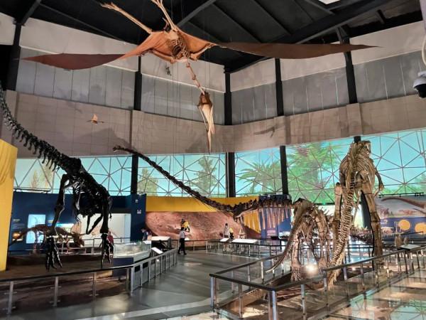 今天,邀請你一起去湖南省地質博物館,看萬物征途 今天,邀請你一起去湖南省地質博物館,看萬物征途