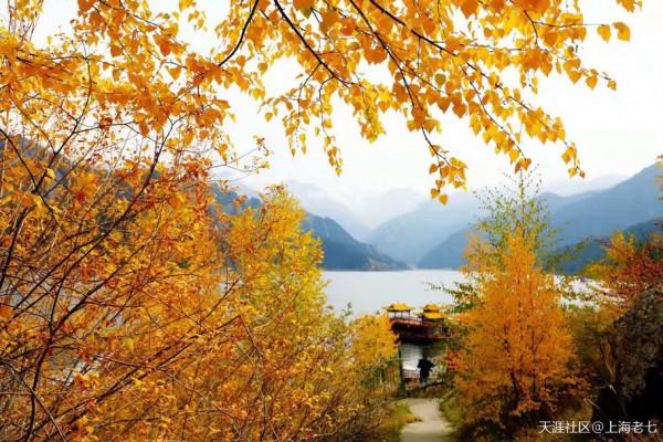 別人的生活:退休了 開始自駕遊 別人的生活:退休了 開始自駕遊