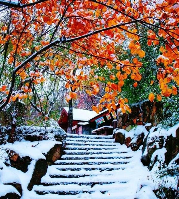 三十首口口相傳、爛熟於心的唐詩名作，都不是出自《唐詩三百首》