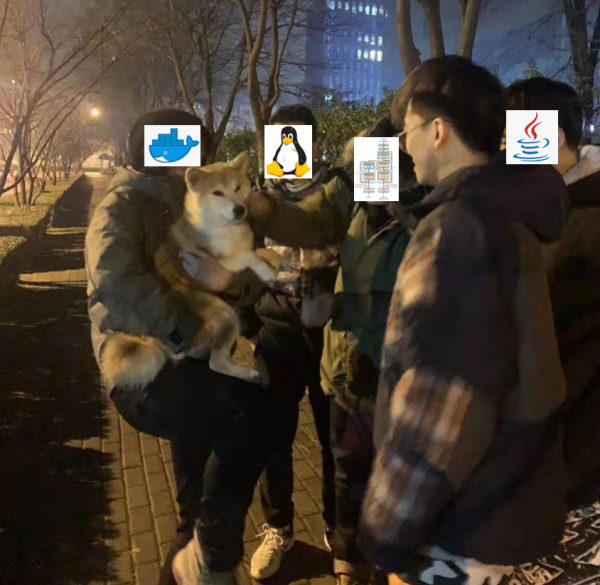 菜雞程式設計師的一天都在折騰些什麼? 菜雞程式設計師的一天都在折騰些什麼?