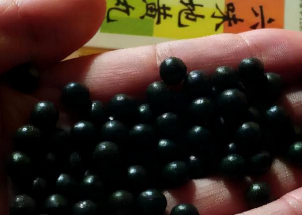 陝西一36歲小夥，長期服用六味地黃丸，身體出現了哪些效果？