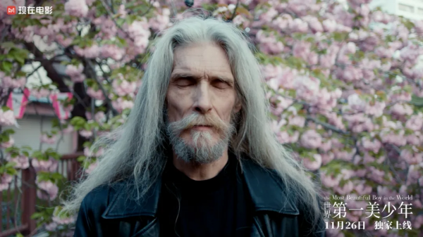 娛樂圈的美強慘,怎麼那麼多? 娛樂圈的美強慘,怎麼那麼多?