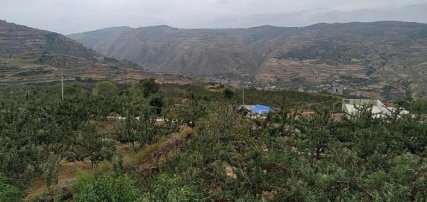 一通電話竟讓我如此感性