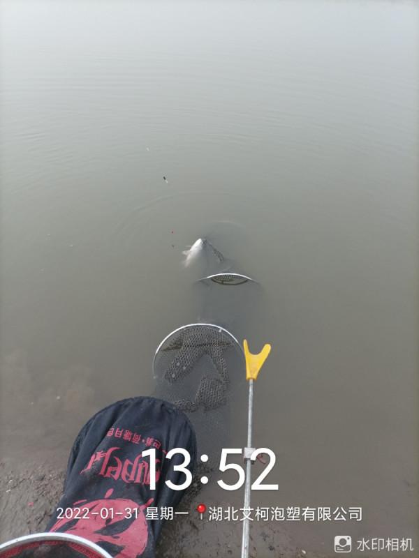 新年新氣象，虎年首釣完美爆護