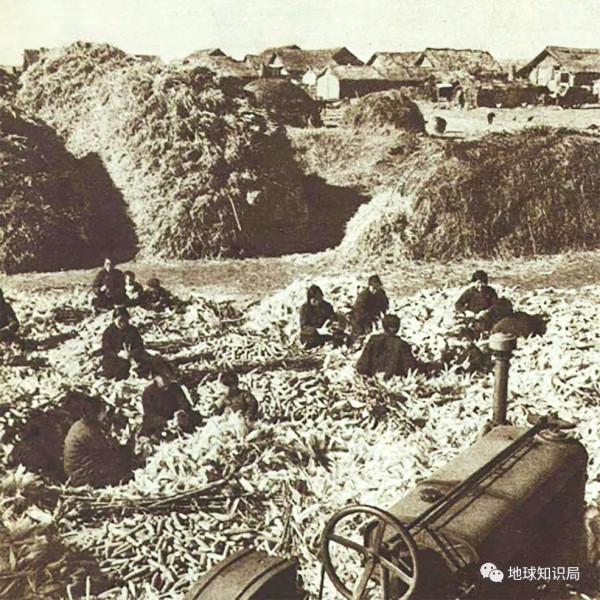 東北鹽鹼化，令人非常擔憂