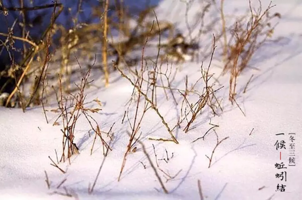 冬至——陰極之至，陽氣始生，日南至，日短之至，日影長之至