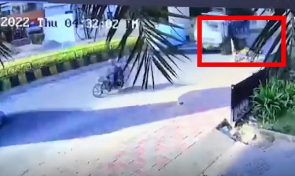 國外6歲童星突遭車禍，送醫路上不幸去世，多位明星發文哀悼