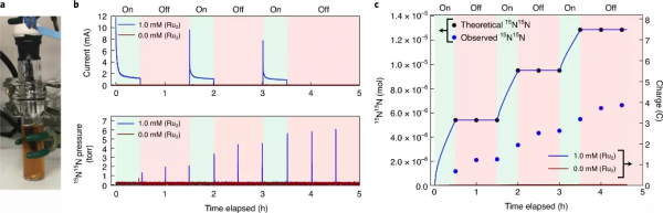 氨燃料電池Nature Chemistry:二釕絡合物實現高效氨電催化氧化 氨燃料電池Nature Chemistry:二釕絡合物實現高效氨電催化氧化