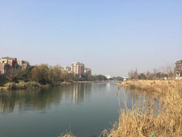 天氣好，出來轉轉，呼吸新年的空氣