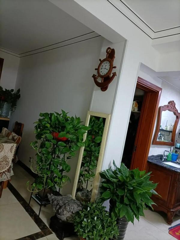 養了這多綠植,覺得打理好費時間,學會放棄才是得到幸福的途徑 養了這多綠植,覺得打理好費時間,學會放棄才是得到幸福的途徑