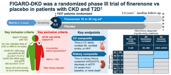 FIGARO研究心衰二次分析結果重磅釋出！Finerenone心臟獲益再傳捷報丨2021AHA