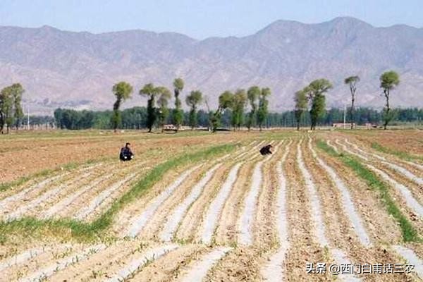農民朋友注意:土地有償退出進入倒計時,退還是留?早看早知道 農民朋友注意:土地有償退出進入倒計時,退還是留?早看早知道