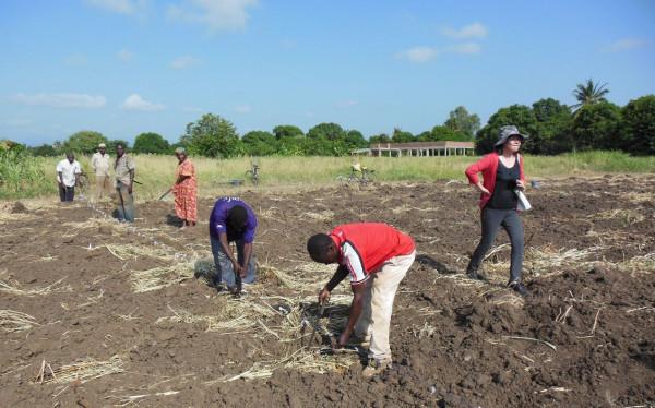 在佩雅佩雅村 與坦桑農民一起種玉米