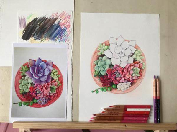 多肉植物彩鉛畫全過程(1-1) 多肉植物彩鉛畫全過程(1-1)