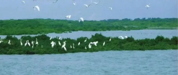 水圈的“連續而不規則”用解釋嗎? 水圈的“連續而不規則”用解釋嗎?
