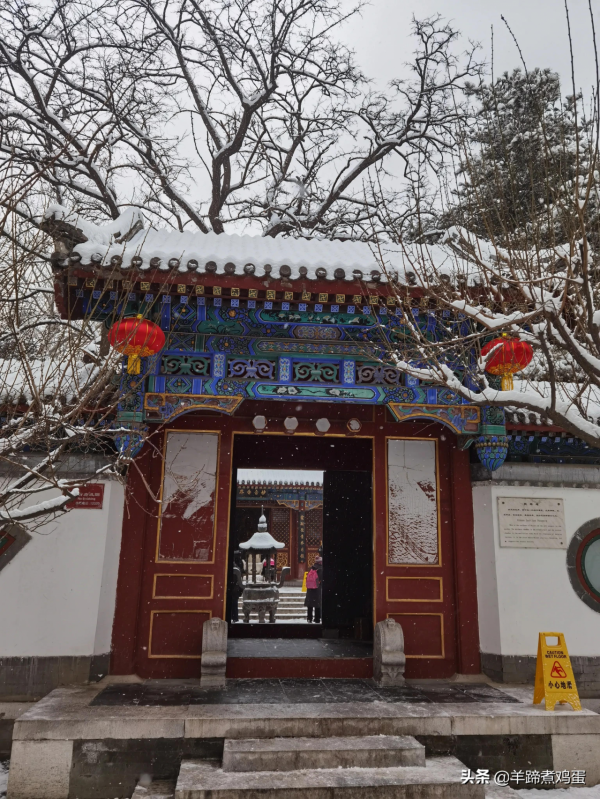難覽觀園全畫景 雪覆臘梅一隅香&mdash;&mdash;踏雪尋遊北京大觀園