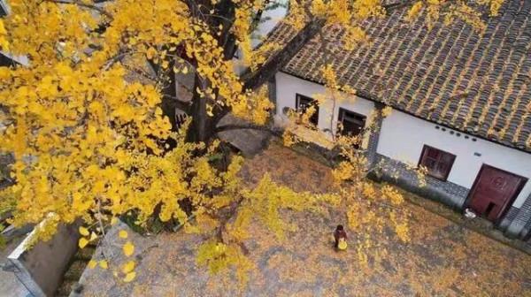 面對衰老和死亡,你規劃好自己的餘生了嗎? 面對衰老和死亡,你規劃好自己的餘生了嗎?