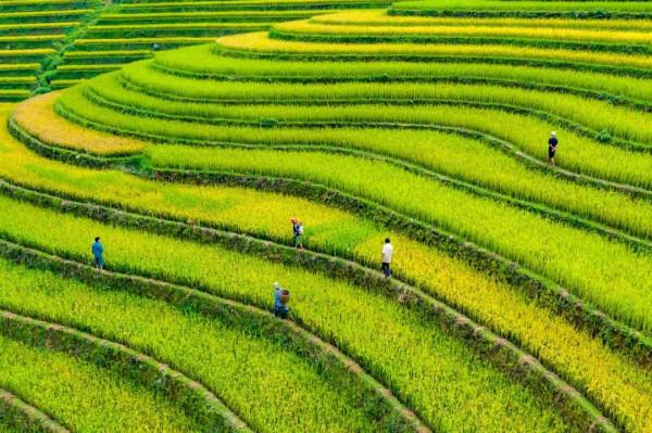 2022《國家地理》日曆,世界之美,近在眼前丨種草機 2022《國家地理》日曆,世界之美,近在眼前丨種草機