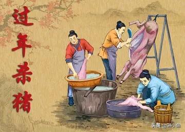 父母在老家養頭300斤年豬,每天要喂玉米6斤,算算這賬划算不 父母在老家養頭300斤年豬,每天要喂玉米6斤,算算這賬划算不