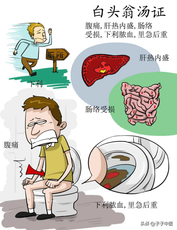 全本《傷寒論》高畫質漫畫版——簡單、好看、好掌握 全本《傷寒論》高畫質漫畫版——簡單、好看、好掌握