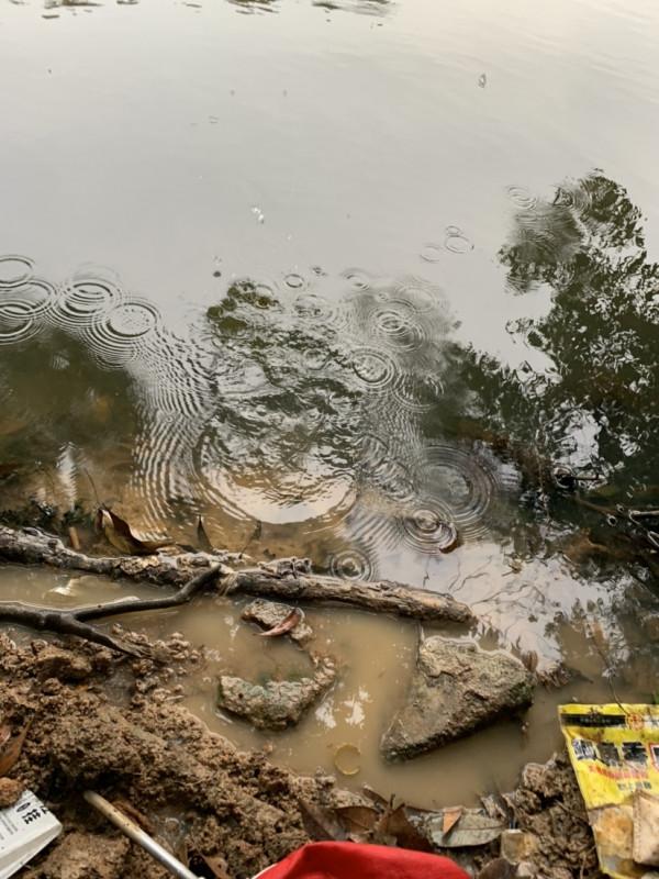 正確掌握野釣鯽魚的技巧，助你爆護