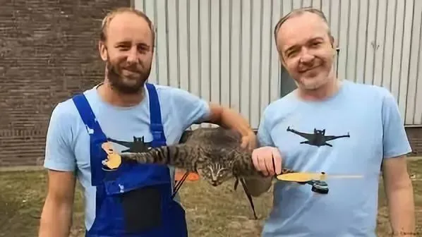貓咪去世後被主人做成無人機，貓：沒想到死後還有一劫...