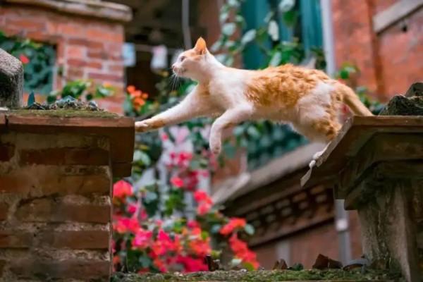 中國10大之“最”城市，藏著太多驚喜，你的家鄉上榜了嗎？