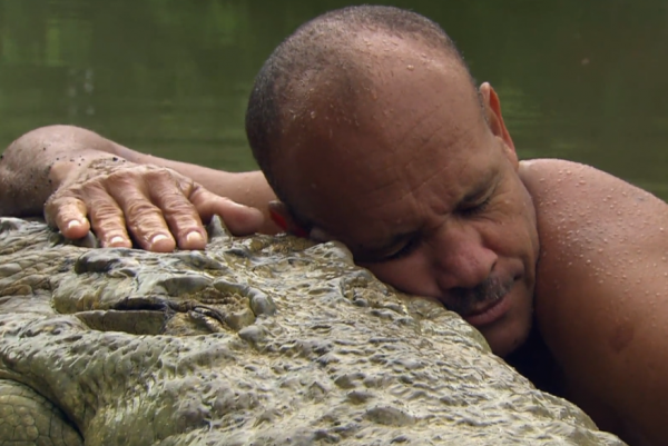 男子和五米鱷魚產生情感，養了鱷魚23年，妻子卻始終反對