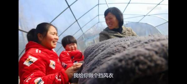 胖妹家的婆媳關係真的好，全網表率，同意不？