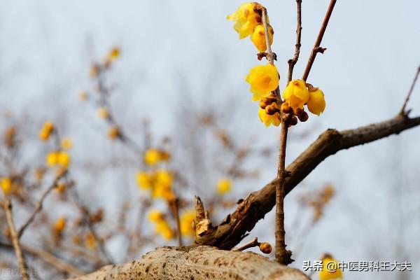 工作壓力大,生活習慣差,腸胃虛弱,心脾兩虛型ED,該如何調理? 工作壓力大,生活習慣差,腸胃虛弱,心脾兩虛型ED,該如何調理?