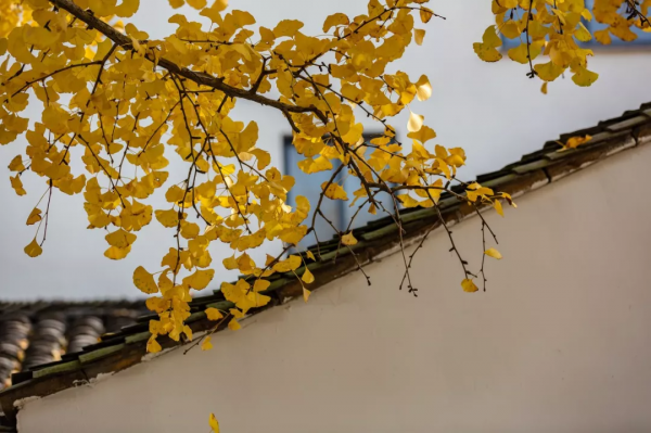 10個藏在深山不為人知的古村落，竟是絕美的“世外桃源”