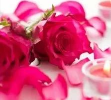 男女健康長壽新法：伍氏夾腿微蹲功