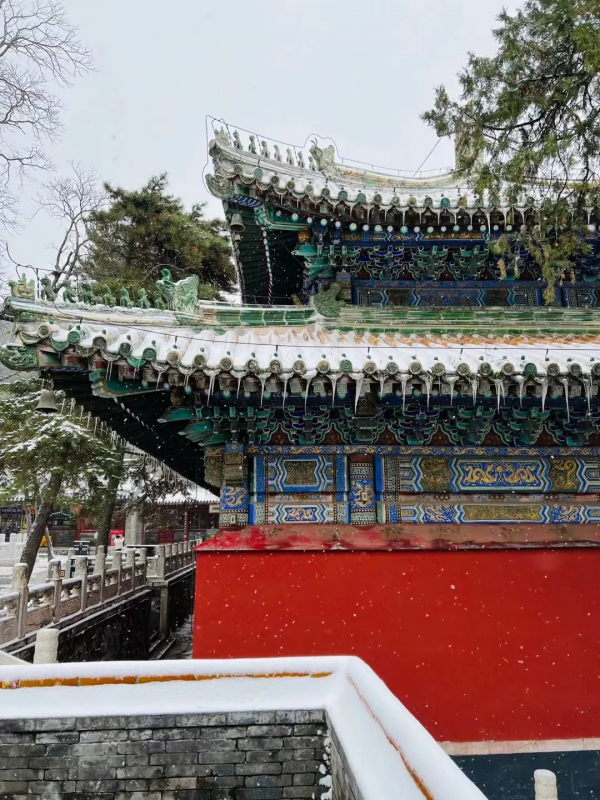 門城一夜雪，萬山披銀裝！