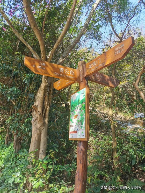 塘朗山&plus;深雲谷，我一天連爬這兩座山，也是沒誰了