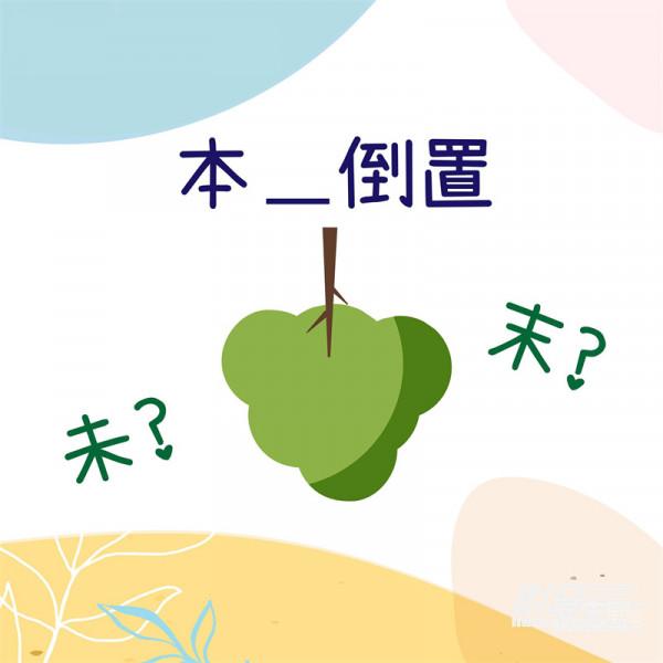 「推薦」要買音響，你做好一切準備了嗎？菜鳥與小白不得不瞭解的一些事情（下）