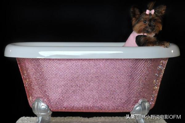 盤點|明星奇葩奢侈品 尼古拉斯·凱奇買了幢凶宅 整個人都不好了 盤點|明星奇葩奢侈品 尼古拉斯·凱奇買了幢凶宅 整個人都不好了