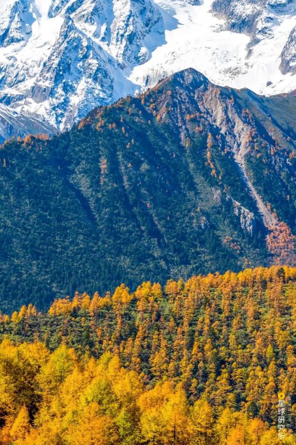 走,去大西南! 走,去大西南!