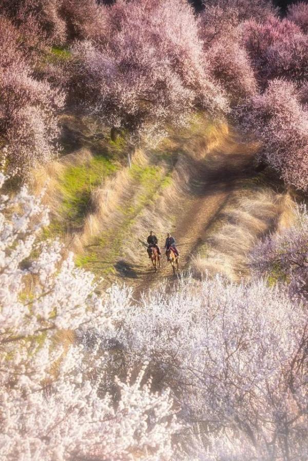 中國十個最浪漫的景區，蜜月首選地