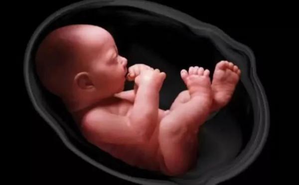 哪些事情看似荒謬,卻有著合理的科學解釋? 哪些事情看似荒謬,卻有著合理的科學解釋?