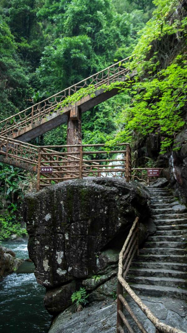 何必去黃果樹!廣東有超美嶺南第一瀑,藏在山谷幽深處,景美人少 何必去黃果樹!廣東有超美嶺南第一瀑,藏在山谷幽深處,景美人少