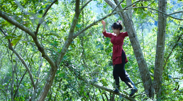 李子柒雖然時尚感不強,但顏值真挺高,央視鏡頭下,也很有鄉土氣 李子柒雖然時尚感不強,但顏值真挺高,央視鏡頭下,也很有鄉土氣